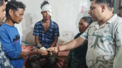 Two tribal youths injured in bear attack in Palamu Tiger Reserve