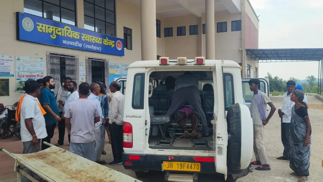 Bee stings claim 65-year-old man’s life in Latehar