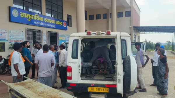 Bee stings claim 65-year-old man’s life in Latehar