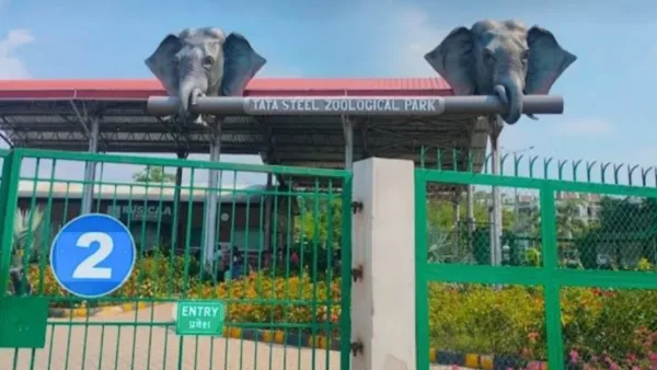 Tata Zoo gears up for Wildlife Week 2026 with conservation activities