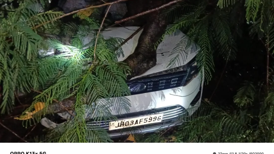 Jharkhand rains bring new road hazard as trees crash onto vehicles, railway tracks