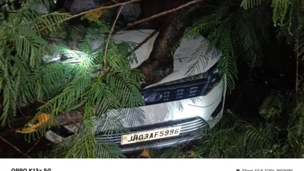 Jharkhand rains bring new road hazard as trees crash onto vehicles, railway tracks