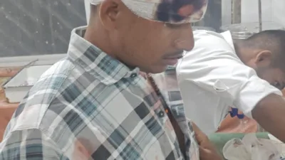 Nilgai kills seven-year-old boy, injures parents on motorcycle in Palamu