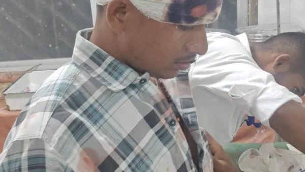 Nilgai kills seven-year-old boy, injures parents on motorcycle in Palamu