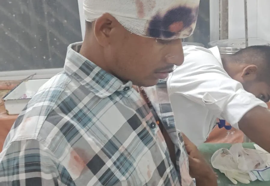 Nilgai kills seven-year-old boy, injures parents on motorcycle in Palamu