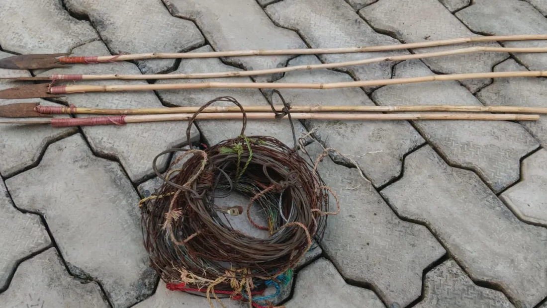 Palamu Tiger Reserve recovers snares, arrows in anti-poaching patrol ahead of Dussehra