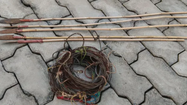 Palamu Tiger Reserve recovers snares, arrows in anti-poaching patrol ahead of Dussehra