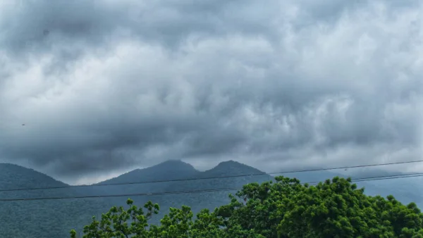 Jharkhand Monsoon 2026: Rainfall ends near normal with 2% deficit; Pakur records highest shortfall